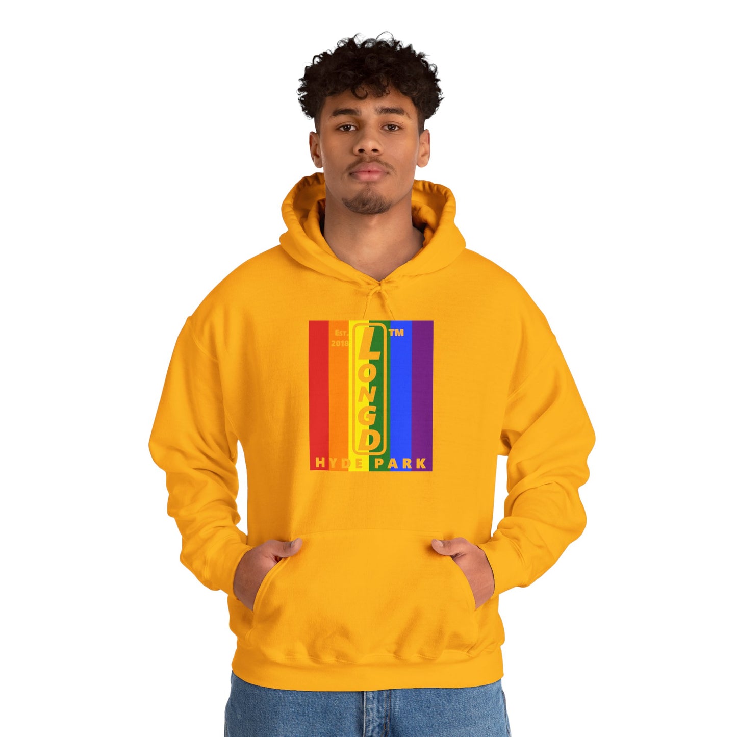 LongD® negative vertical 6-striped upright Hyde Park logo hoodie (Pride colors)