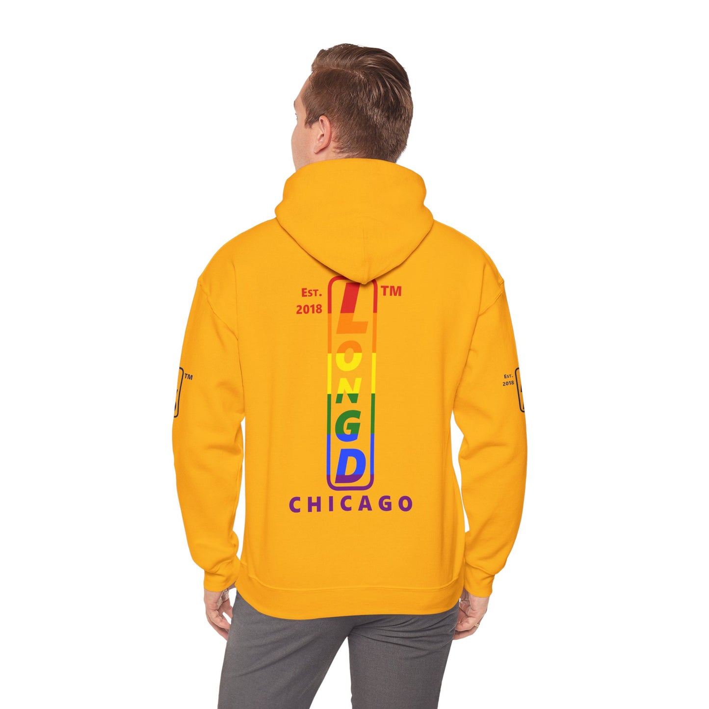 LongD® positive horizontal 6-striped Chicago 4-print upright logo hoodie (Pride colors)