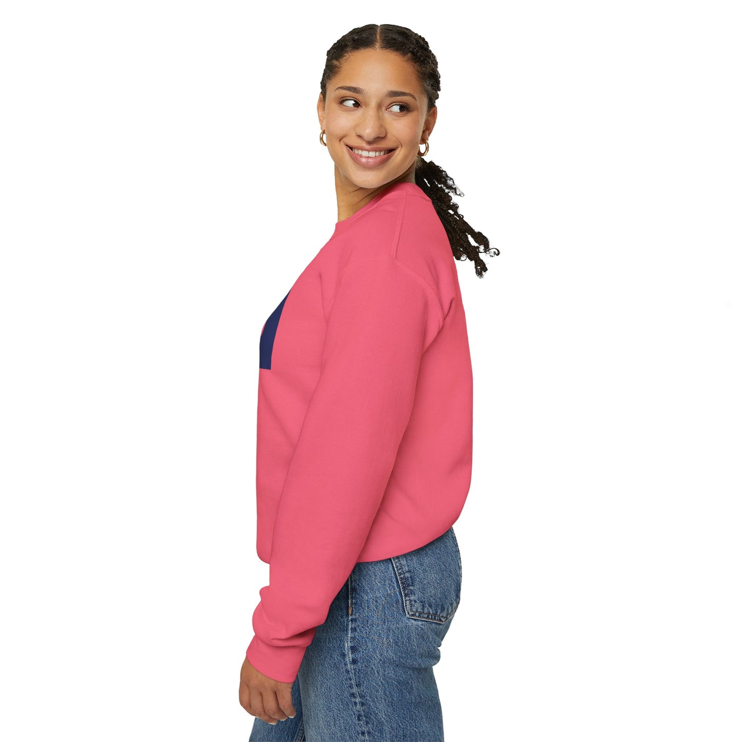 LongD negative vertical 6-striped Hyde Park logo crewneck sweatshirt (patriotic colors)