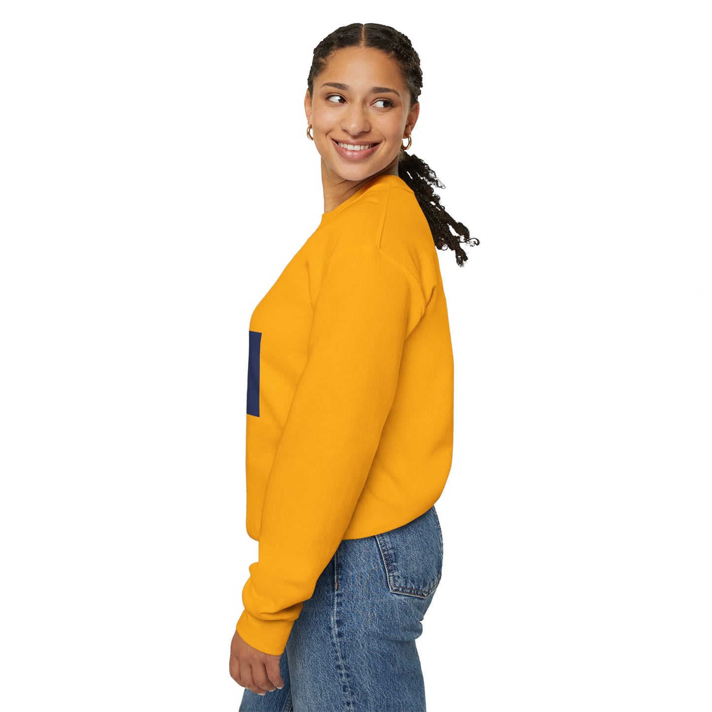 I firecracker LongD negative vertical 6-striped tag-domain logo crewneck sweatshirt