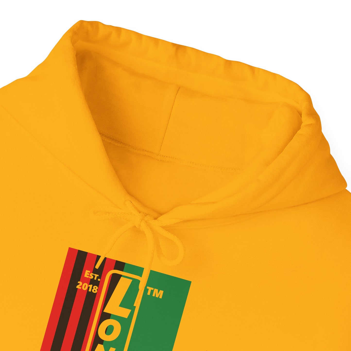 LongD® negative cropped flag upright Chicago logo hoodie (Juneteenth colors)