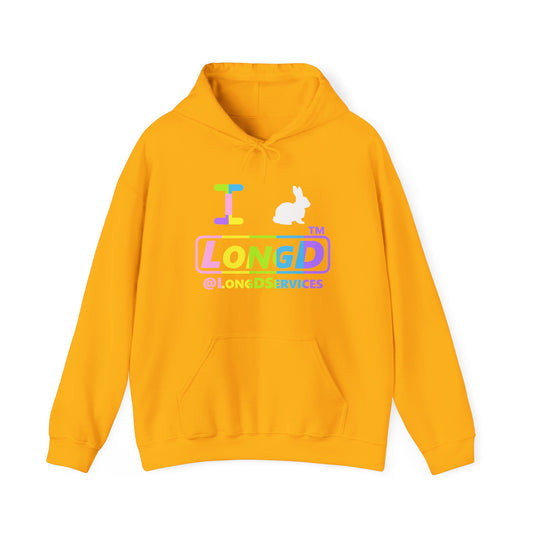 I Bunny LongD positive vertical striped front-back Tag logo hoodie