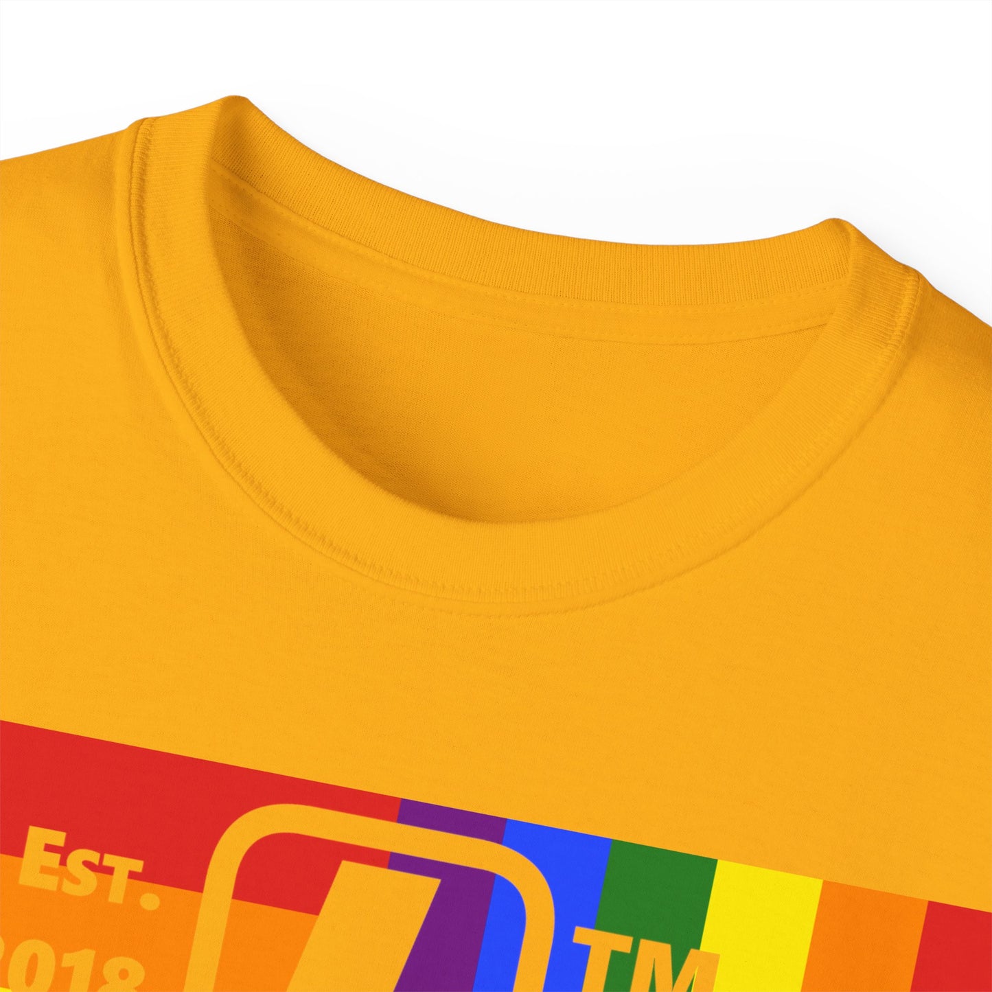 LongD Cotton Tee negative windmill Chicago upright logo (Pride colors)
