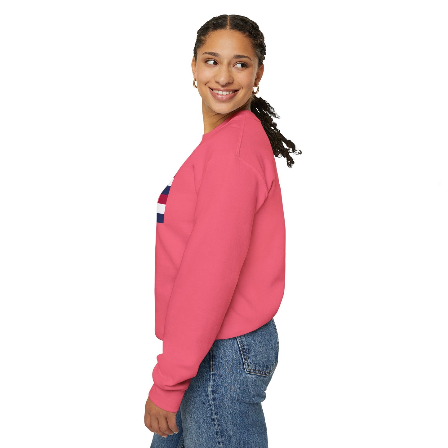 LongD negative horizontal 6-striped Hyde Park logo crewneck sweatshirt (patriotic colors)