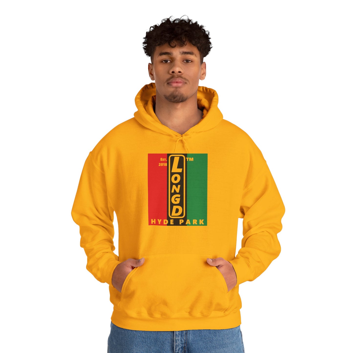 LongD® negative vertical 3-striped upright Hyde Park logo hoodie (Juneteenth colors)
