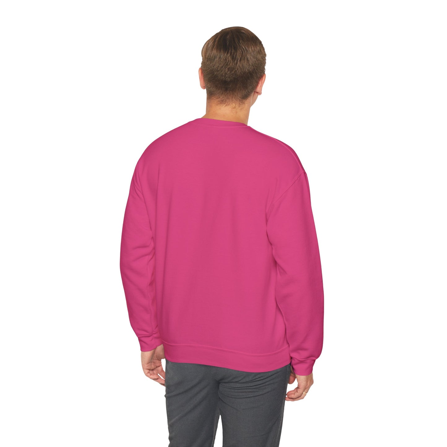 LongD positive horizontal 6-striped Hyde Park logo crewneck sweatshirt (patriotic colors)