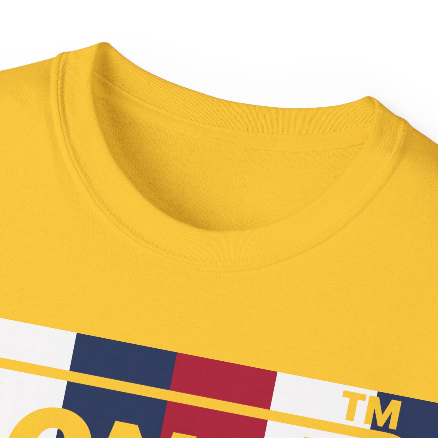 LongD negative vertical 6-striped Hyde Park logo cotton tee (patriotic colors)