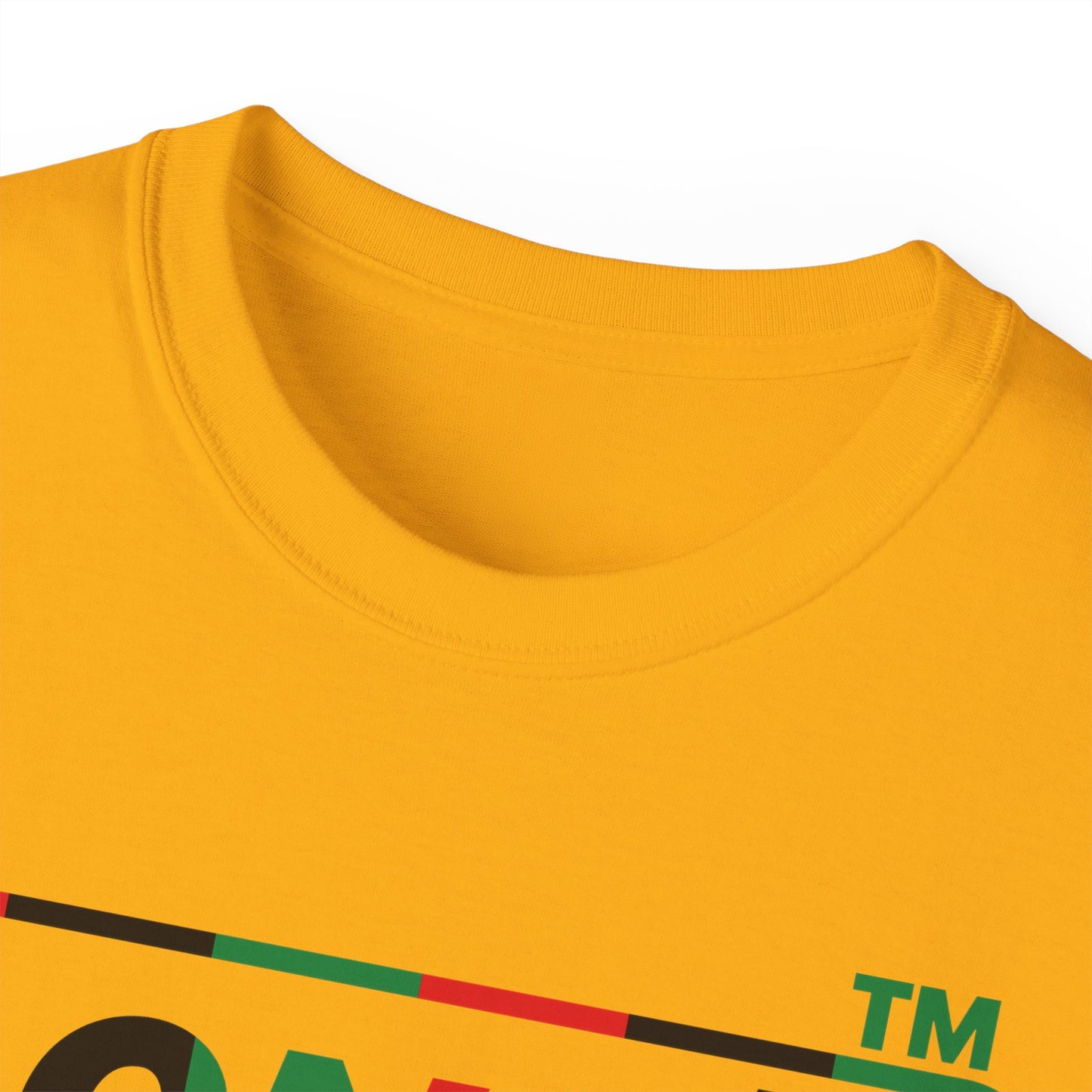 LongD positive vertical 6-striped Hyde Park logo cotton tee (Juneteenth colors)