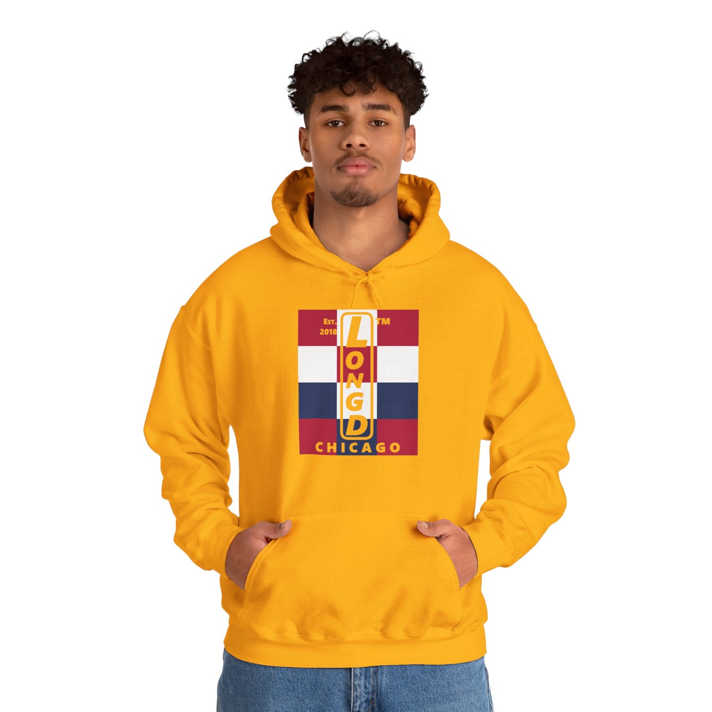 LongD® negative 4x3 upright Chicago logo hoodie