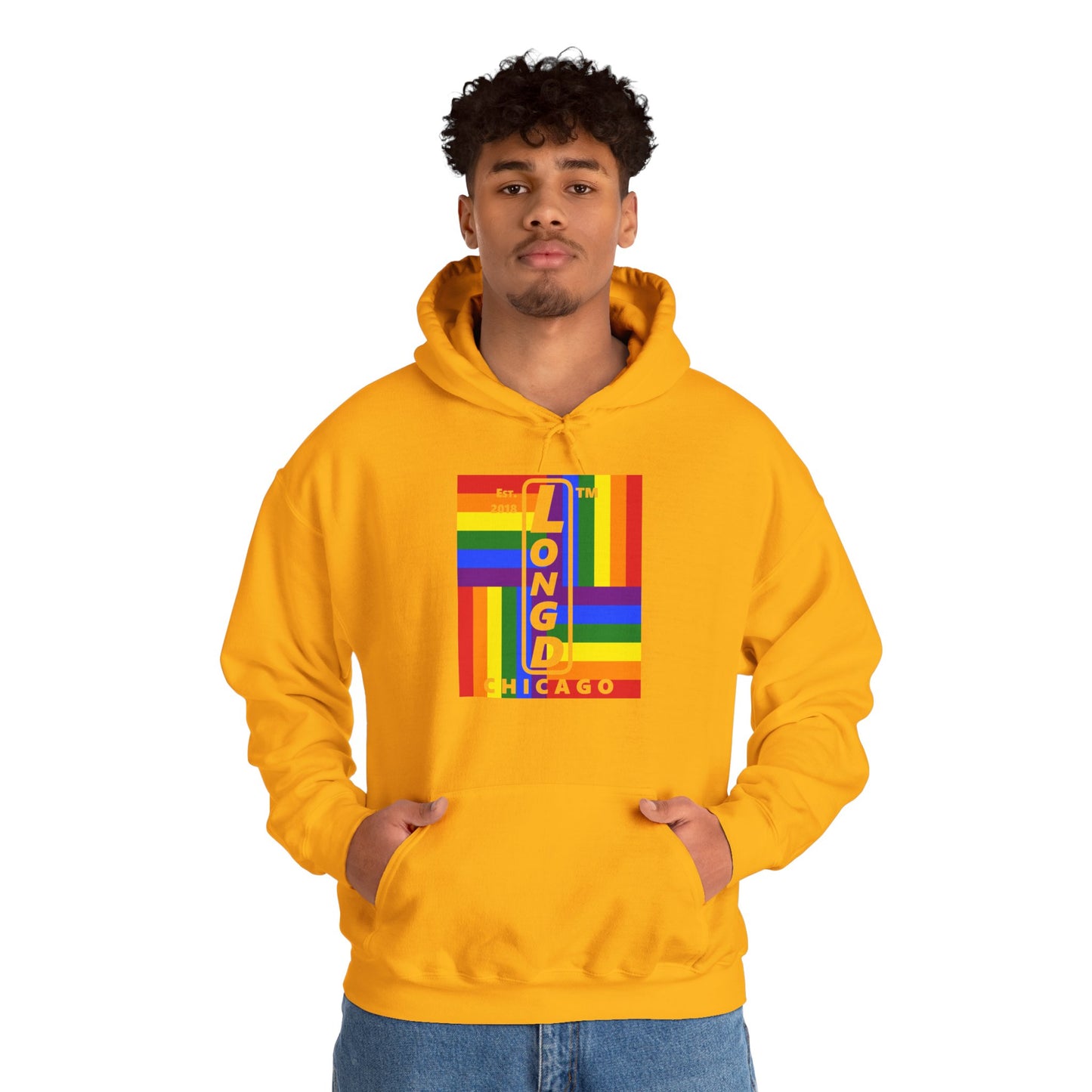 LongD® negative windmill upright Chicago logo hoodie (Pride colors)