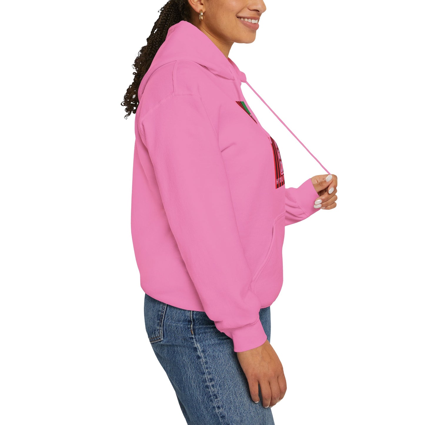 LongD® negative cropped flag upright Hyde Park logo hoodie (Juneteenth colors)