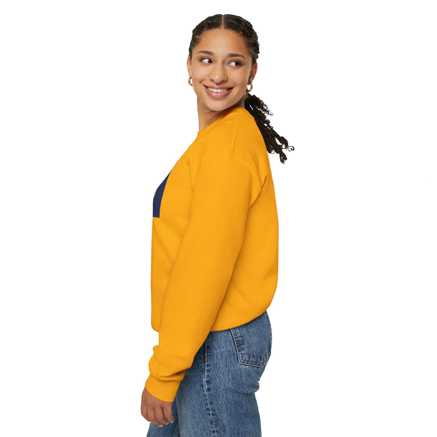 LongD negative vertical 6-striped Hyde Park logo crewneck sweatshirt (patriotic colors)