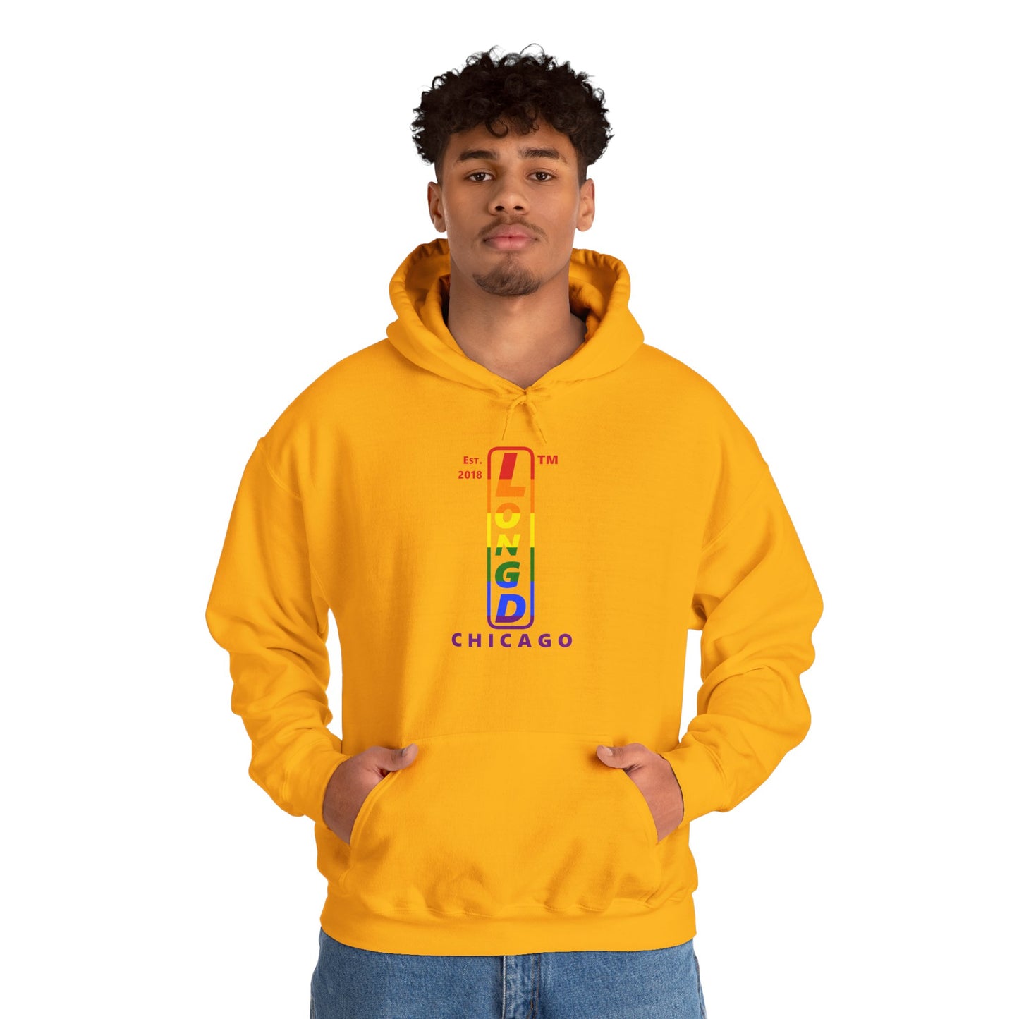 LongD® positive horizontal 6-striped Chicago logo hoodie (Pride colors)