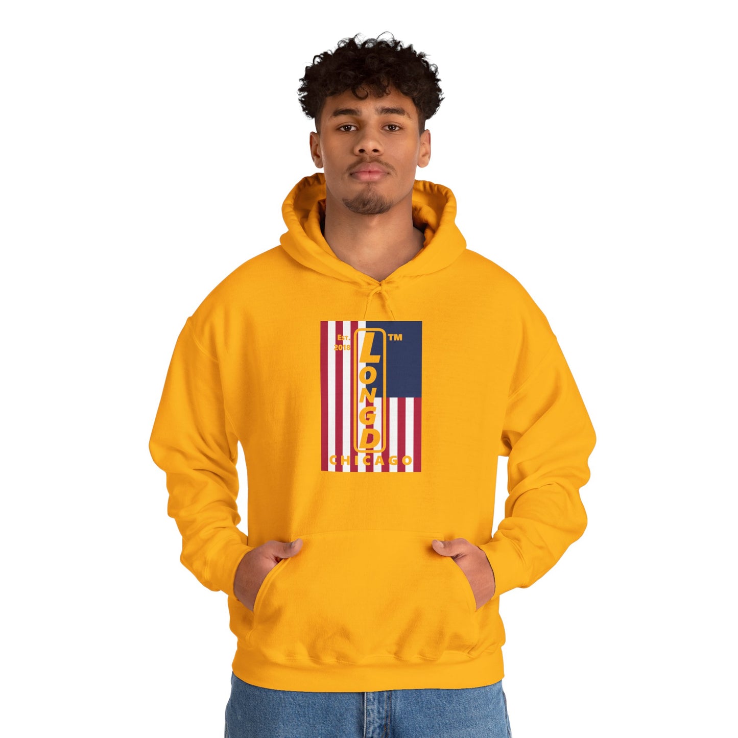LongD® negative cropped flag upright Chicago logo hoodie