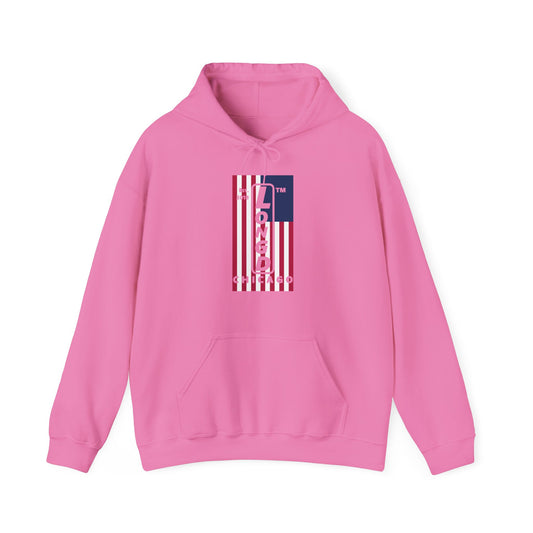 LongD® negative flag upright Chicago logo hoodie