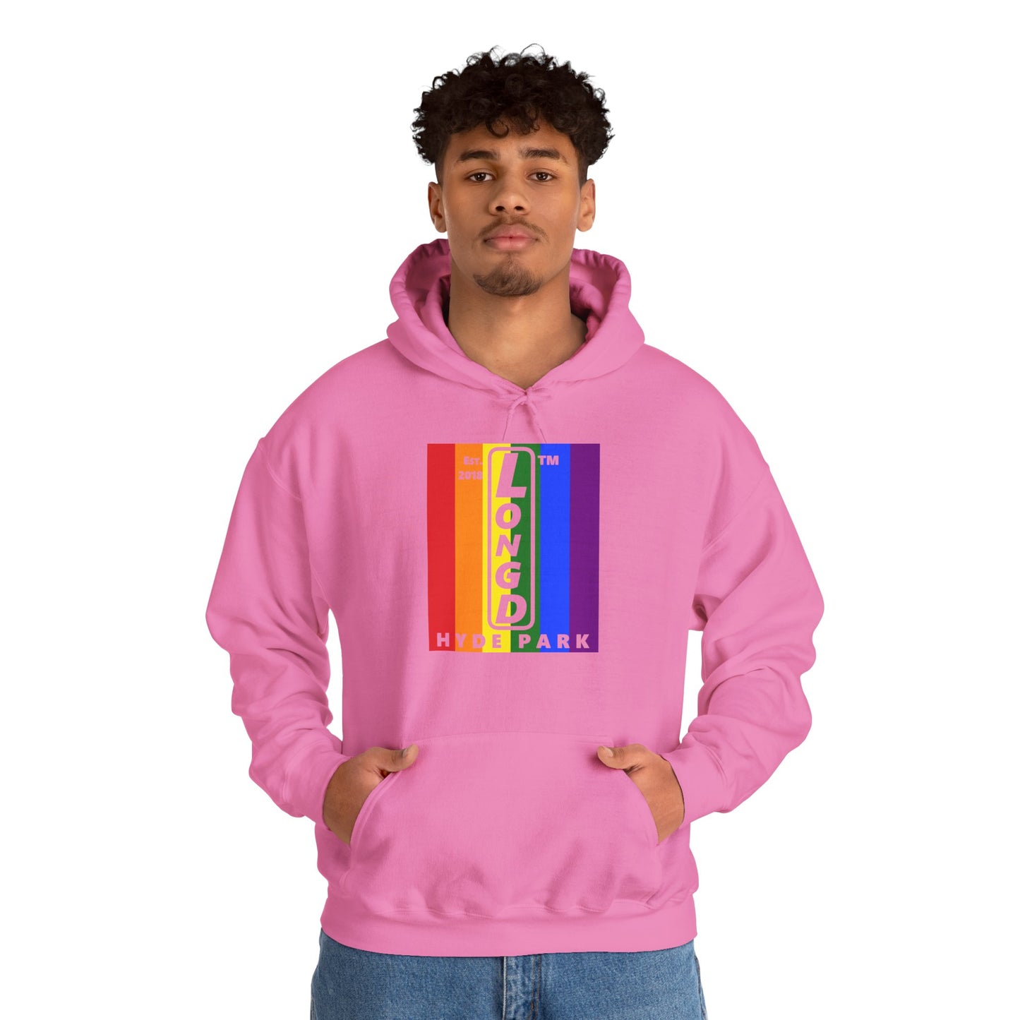 LongD® negative vertical 6-striped upright Hyde Park logo hoodie (Pride colors)