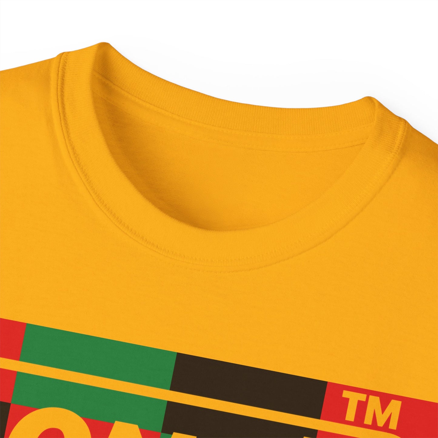 LongD negative 3x4 Hyde Park logo cotton tee (Juneteenth colors)