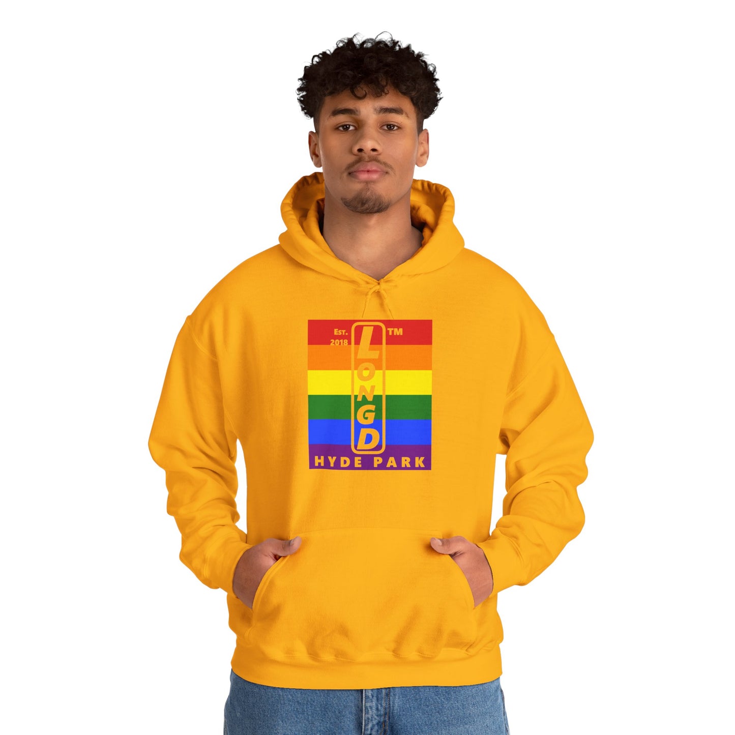 LongD® negative horizontal 6-striped upright Hyde Park logo hoodie (Pride colors)
