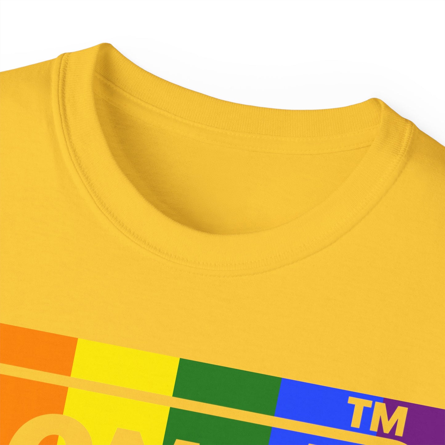 LongD negative vertical striped Hyde Park logo cotton tee (Pride colors)