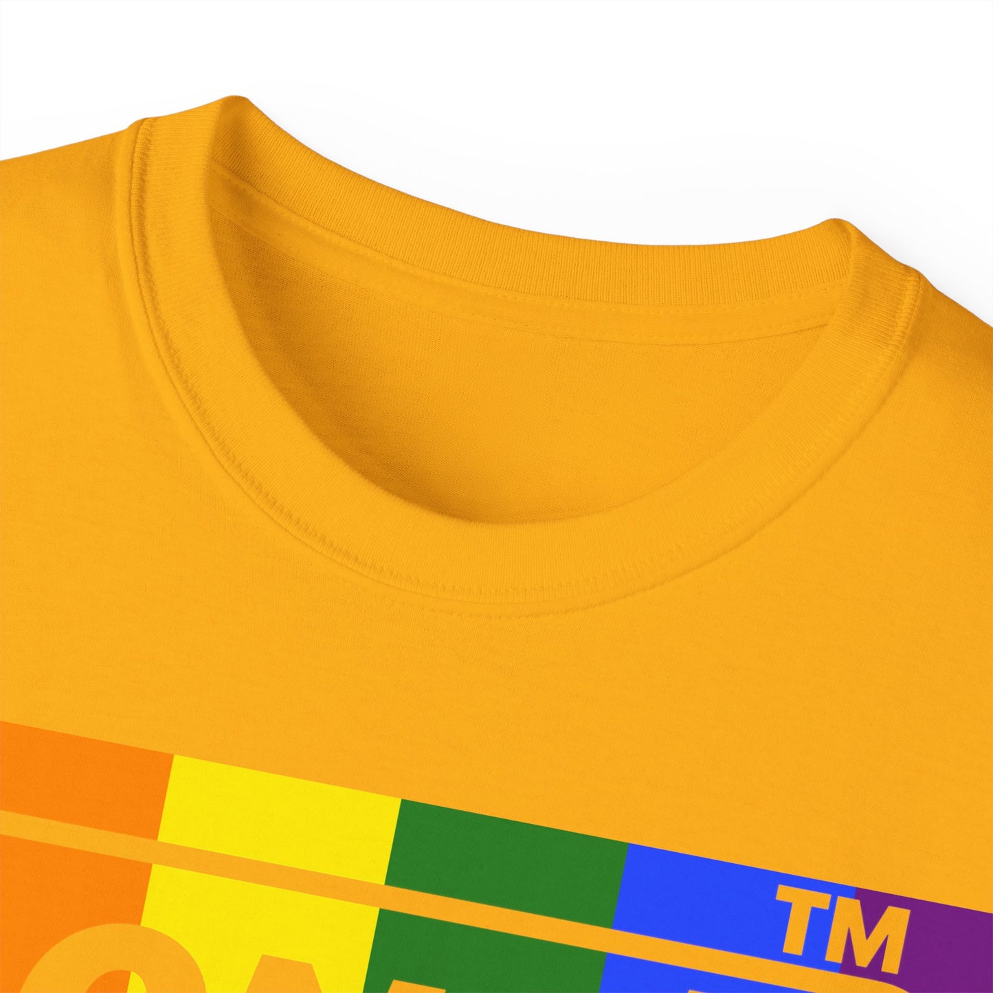 LongD negative vertical striped 4-print Hyde Park logo cotton tee (Pride colors)