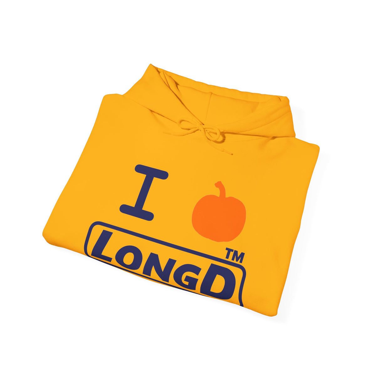 I pumpkin LongD Tag-domain positive basic Navy (002060) logo hoodie