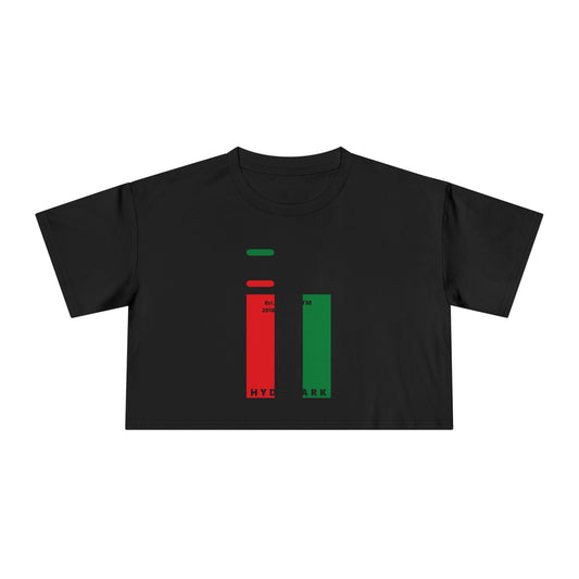 I fist LongD negative vertical 3-striped upright front-back Hyde Park logo crop tee (Juneteenth colors)
