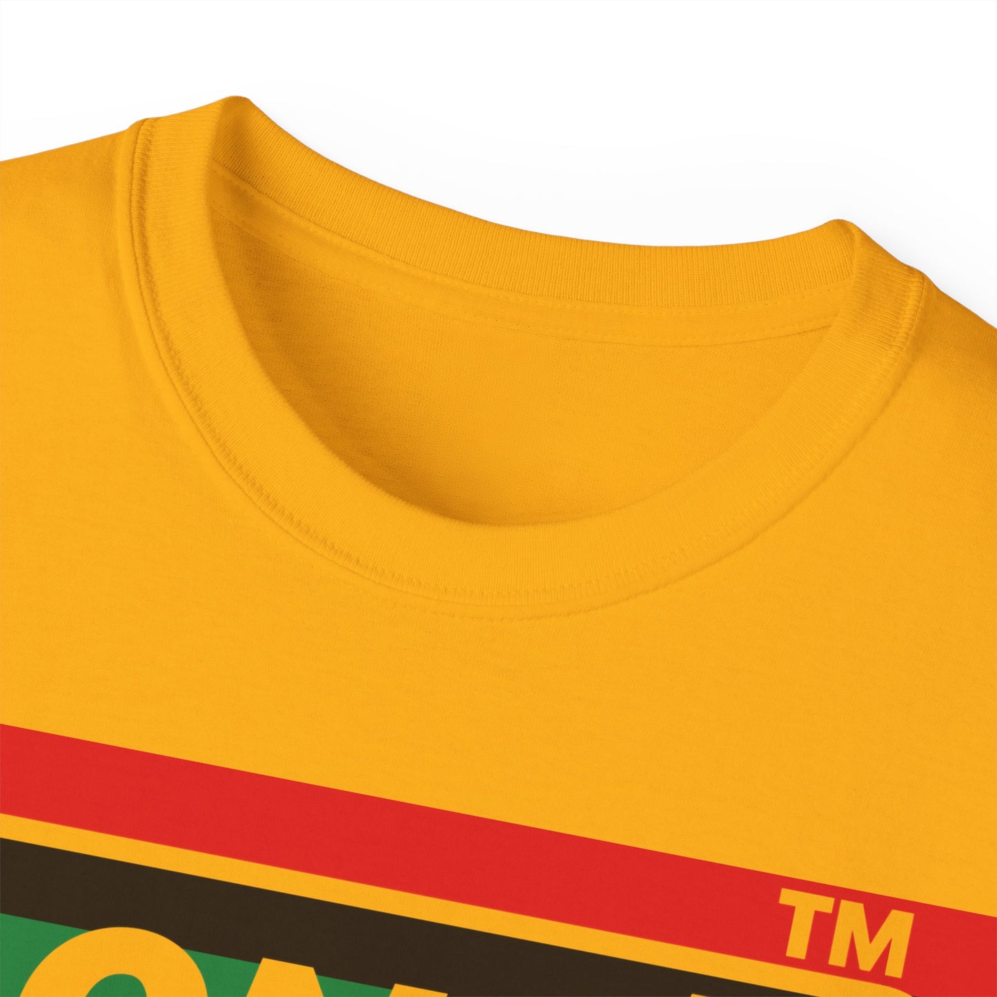 LongD negative horizontal 6-striped Chicago logo cotton tee (Juneteenth colors)