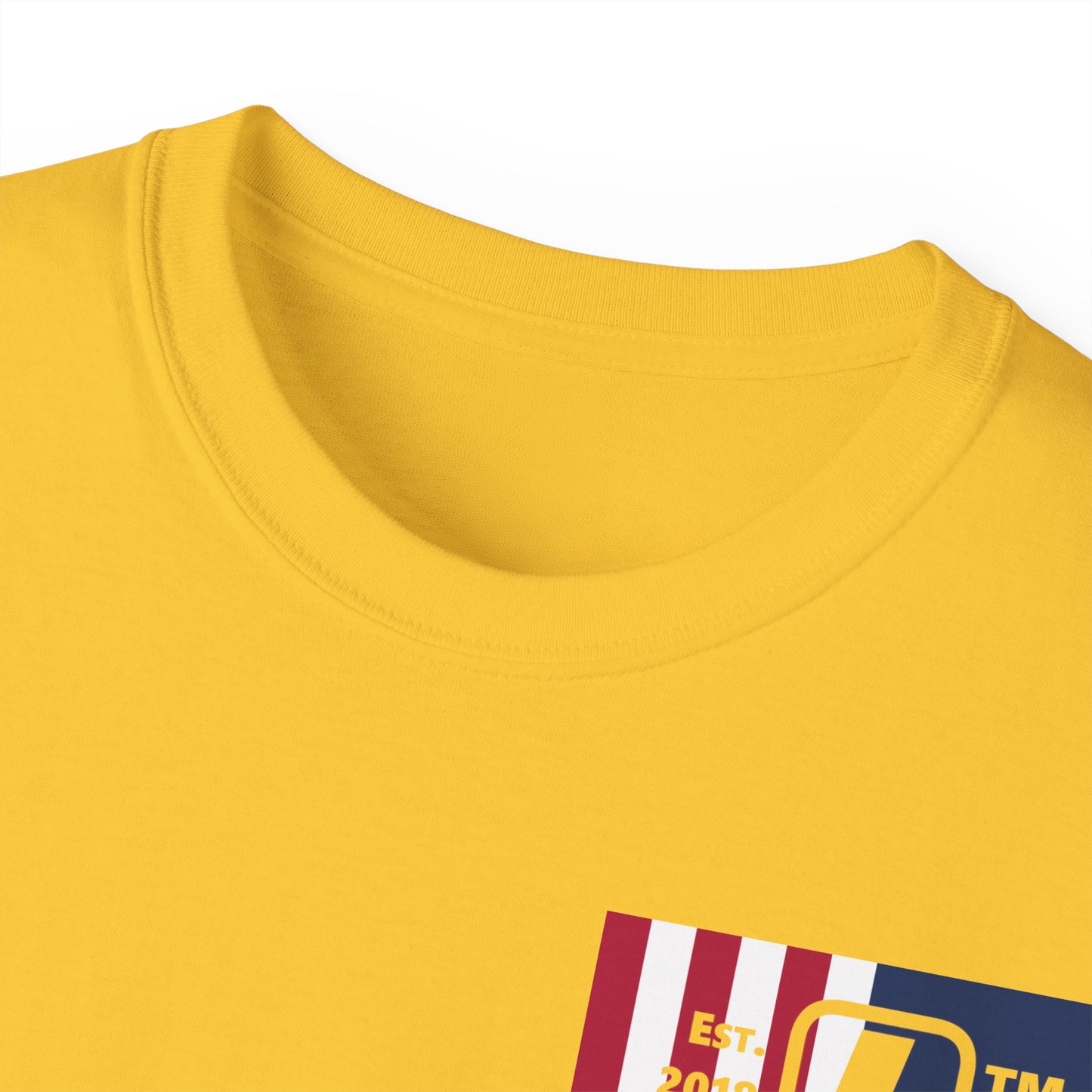 LongD cotton tee negative cropped flag single-breasted front-back Chicago upright logo (Patriotic colors)