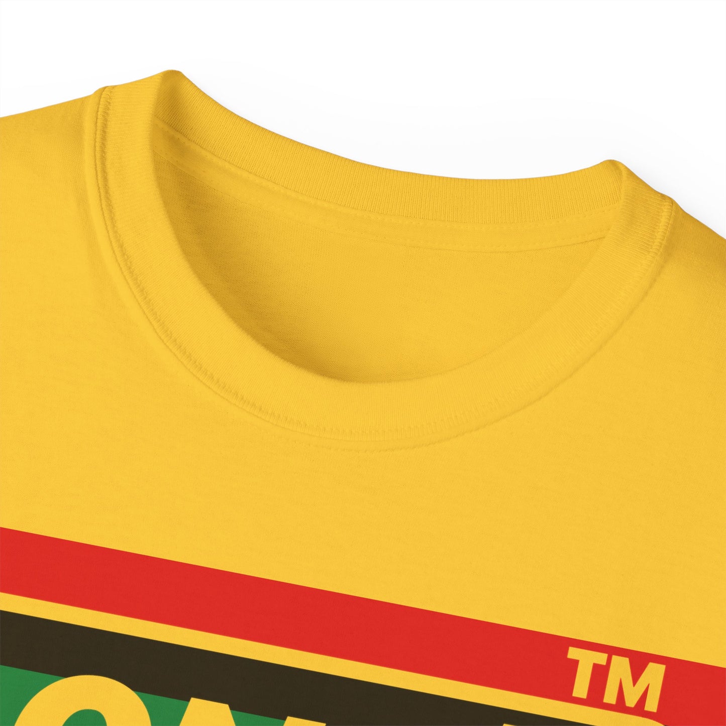 LongD negative horizontal 6-striped Hyde Park logo cotton tee (Juneteenth colors)