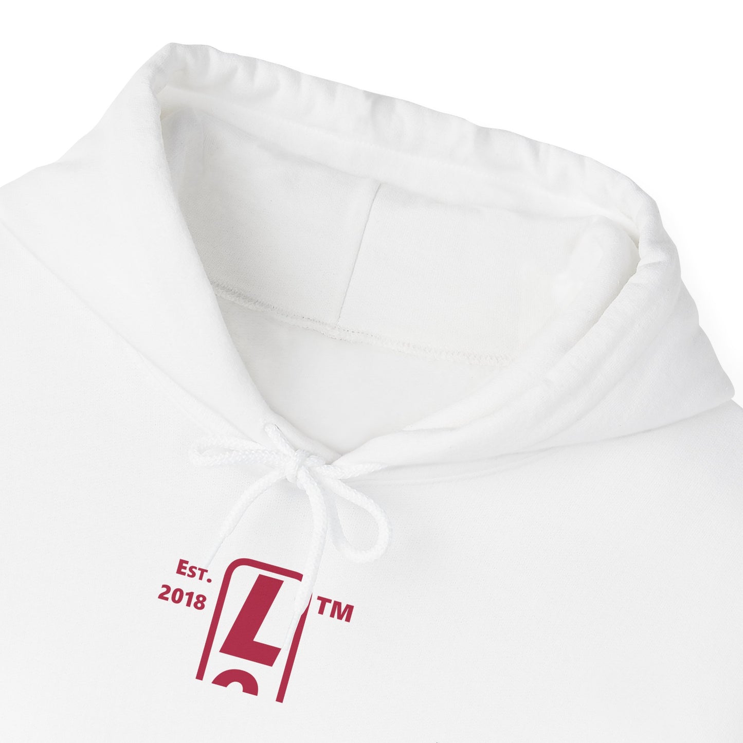 LongD® positive horizontal 3-striped upright Hyde Park logo hoodie