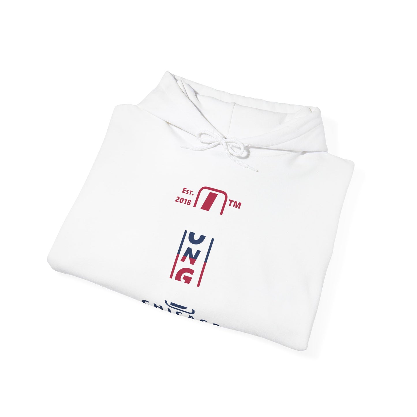 LongD® positive horizontal 6-striped Chicago 4-print upright logo hoodie (patriotic colors)
