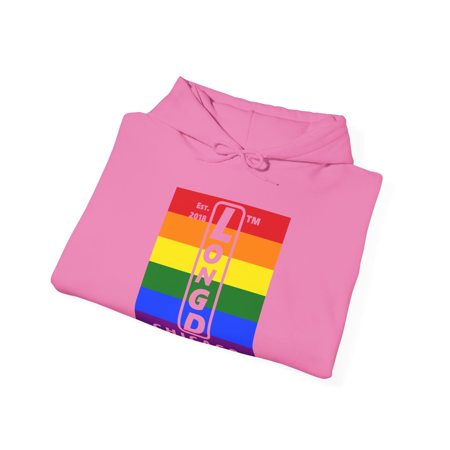 LongD® negative horizontal 6-striped upright Chicago logo hoodie (Pride colors)