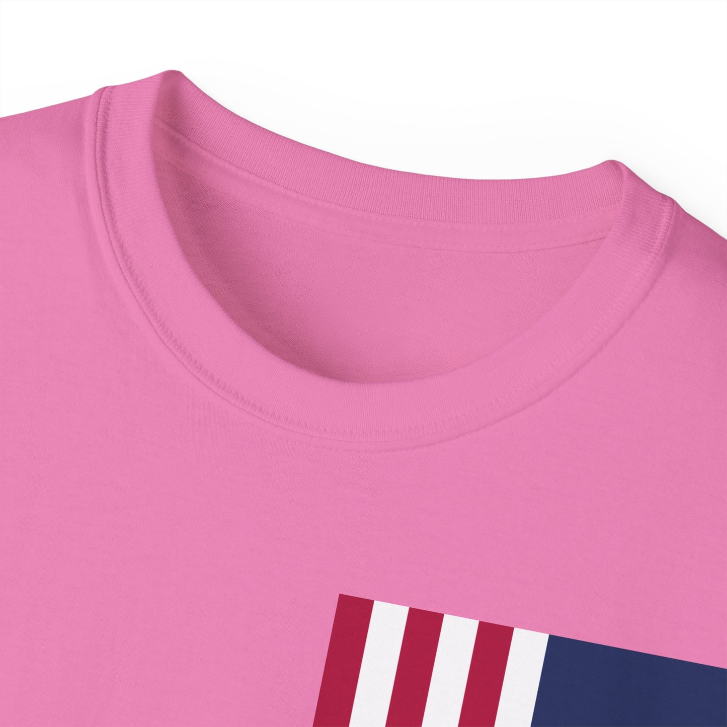 LongD cotton tee negative cropped flag single-breasted front-back Hyde Park upright logo (Patriotic colors)