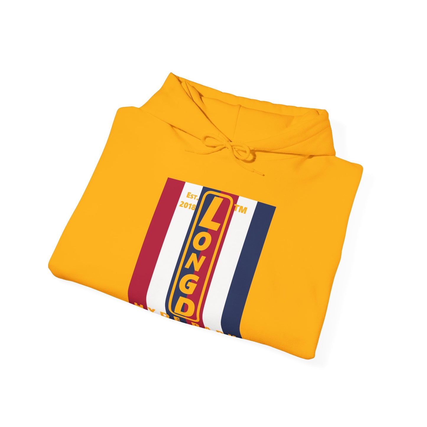LongD® negative vertical 6-striped upright Hyde Park logo hoodie