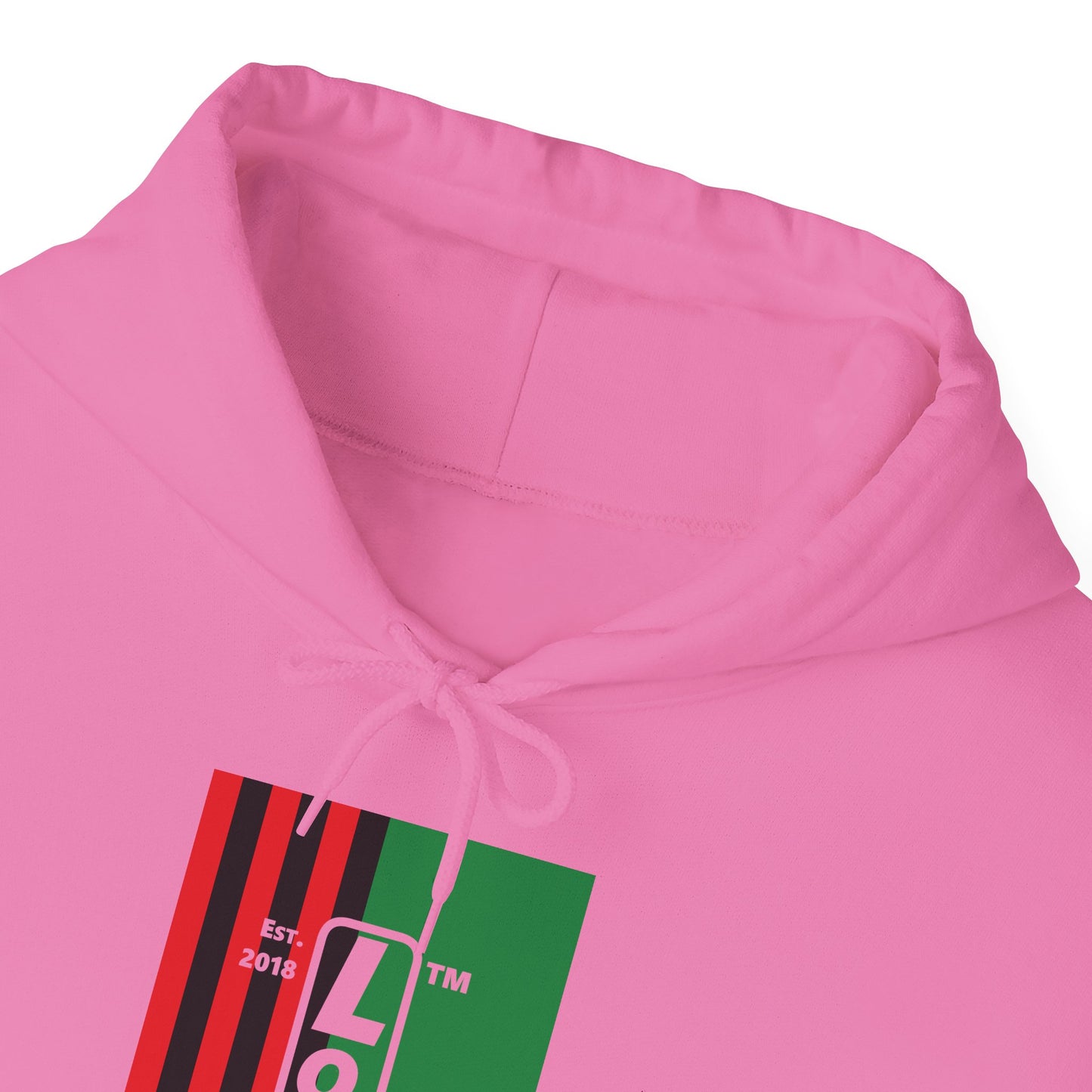 LongD® negative cropped flag upright Hyde Park logo hoodie (Juneteenth colors)