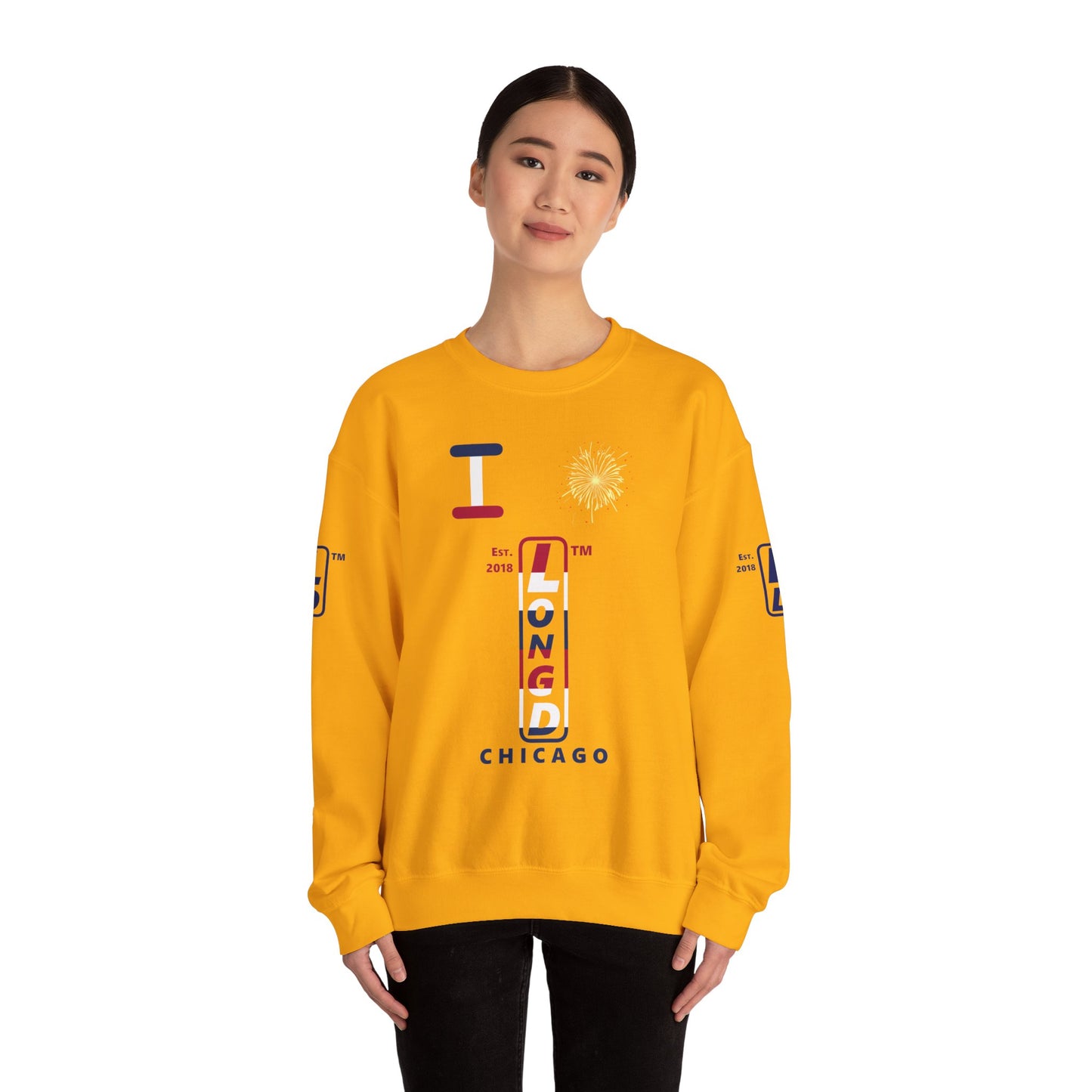 I Burst LongD positive horizontal 6-striped Chicago upright 4-print logo crewneck sweatshirt