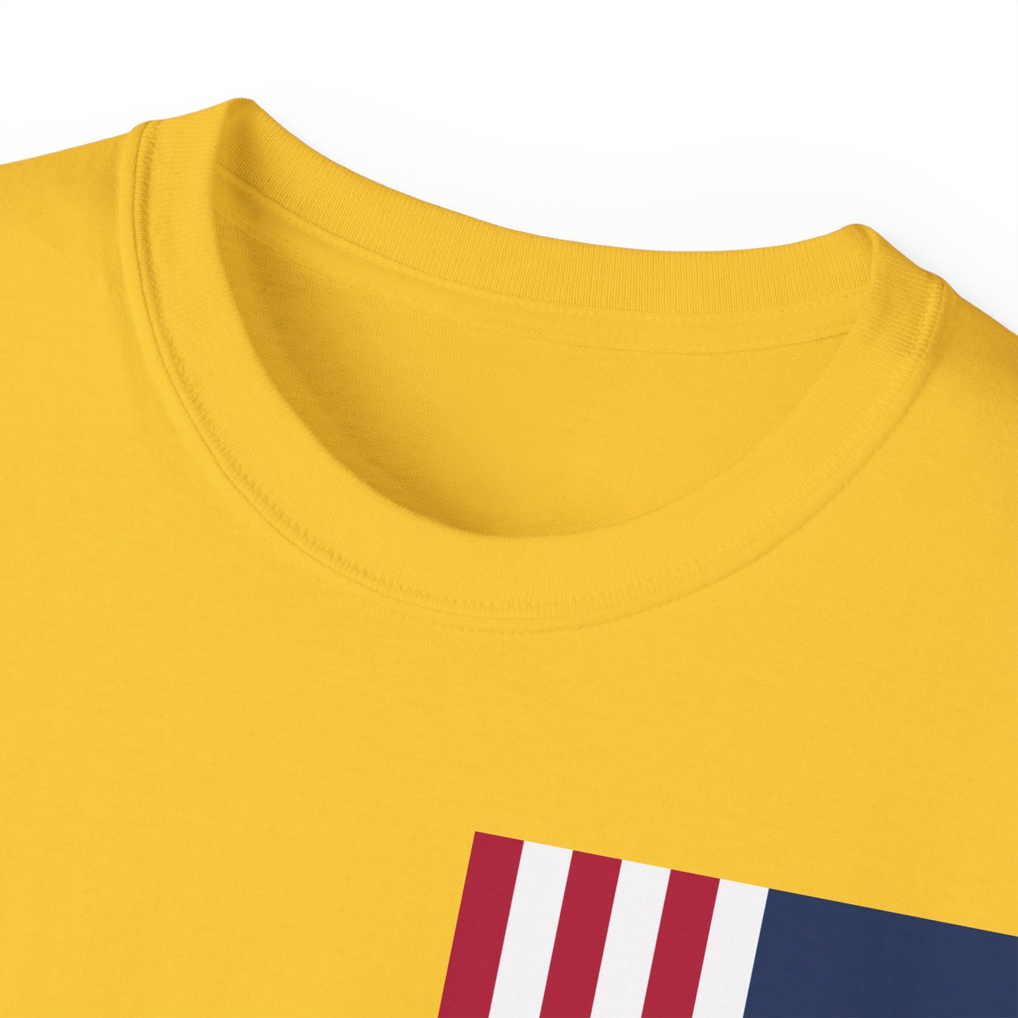 LongD cotton tee negative cropped flag single-breasted front-back Hyde Park upright logo (Patriotic colors)