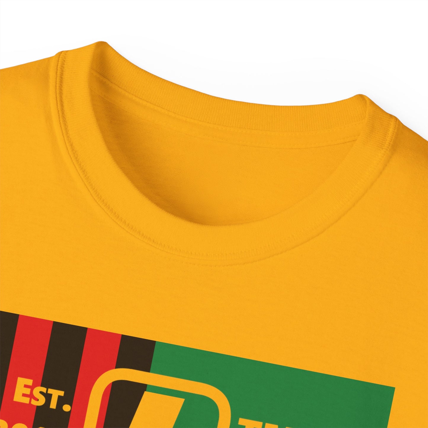 LongD Cotton Tee negative flag Chicago upright logo (Juneteenth colors)