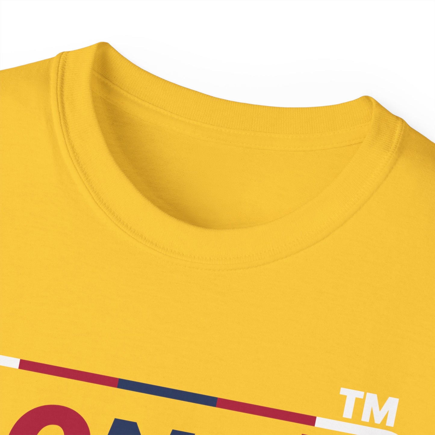 LongD positive 2x5 Hyde Park logo cotton tee (patriotic colors)