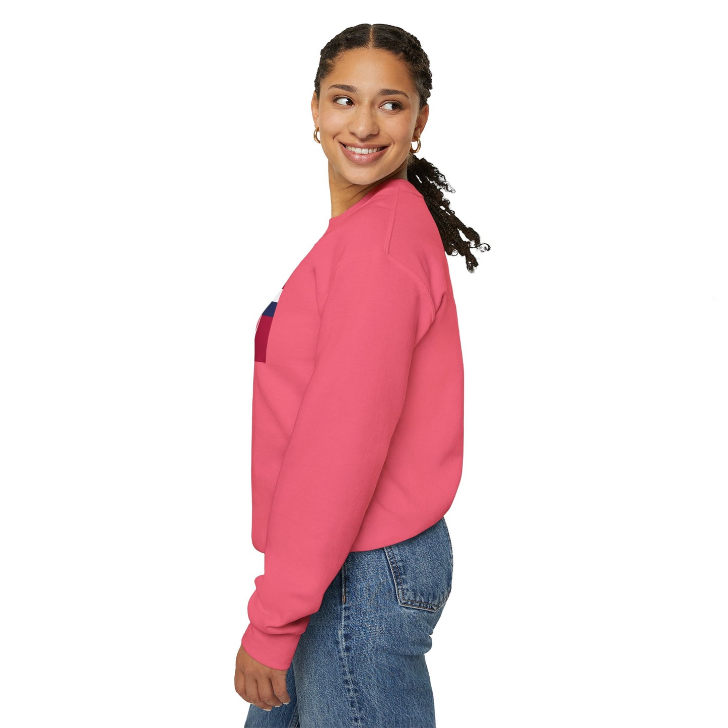 LongD negative modified windmill Hyde Park logo crewneck sweatshirt (patriotic colors)