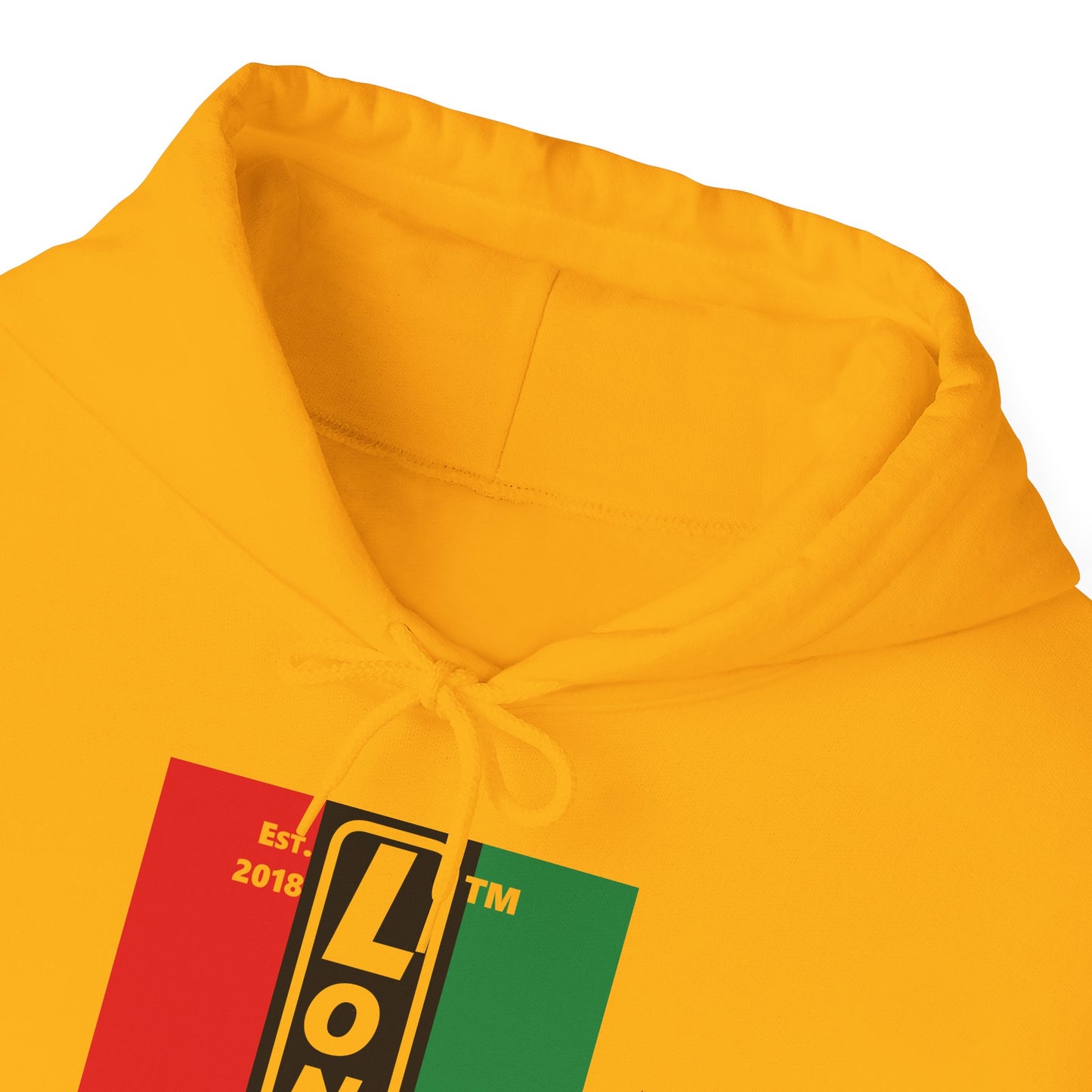 LongD® negative vertical 3-striped upright Hyde Park logo hoodie (Juneteenth colors)