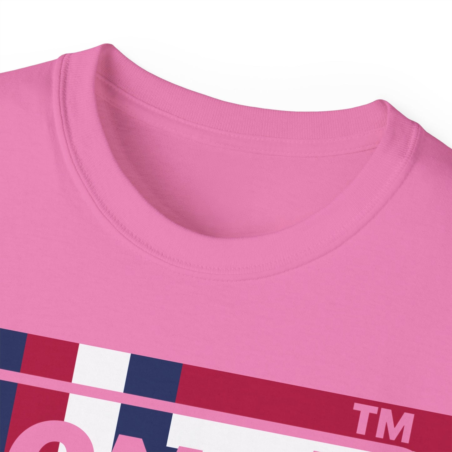 LongD negative modified windmill Hyde Park logo cotton tee (patriotic colors)