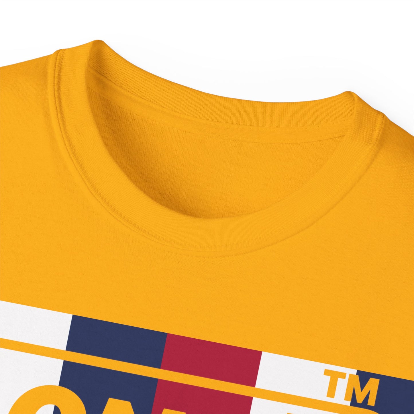 LongD negative vertical 6-striped Hyde Park logo cotton tee (patriotic colors)