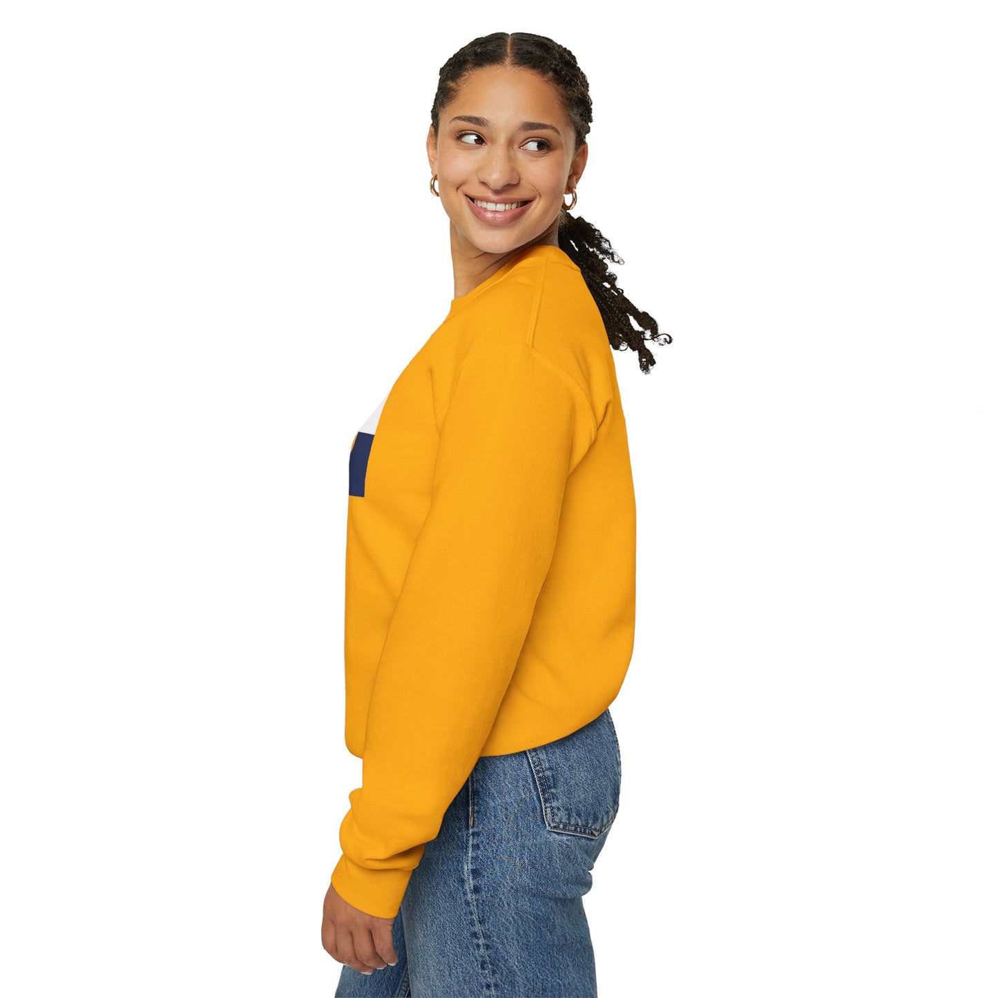 LongD negative 2x5 Chicago logo crewneck sweatshirt (patriotic colors)