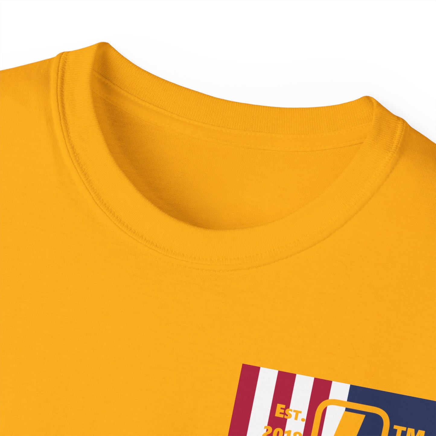 LongD cotton tee negative cropped flag single-breasted front-back Chicago upright logo (Patriotic colors)