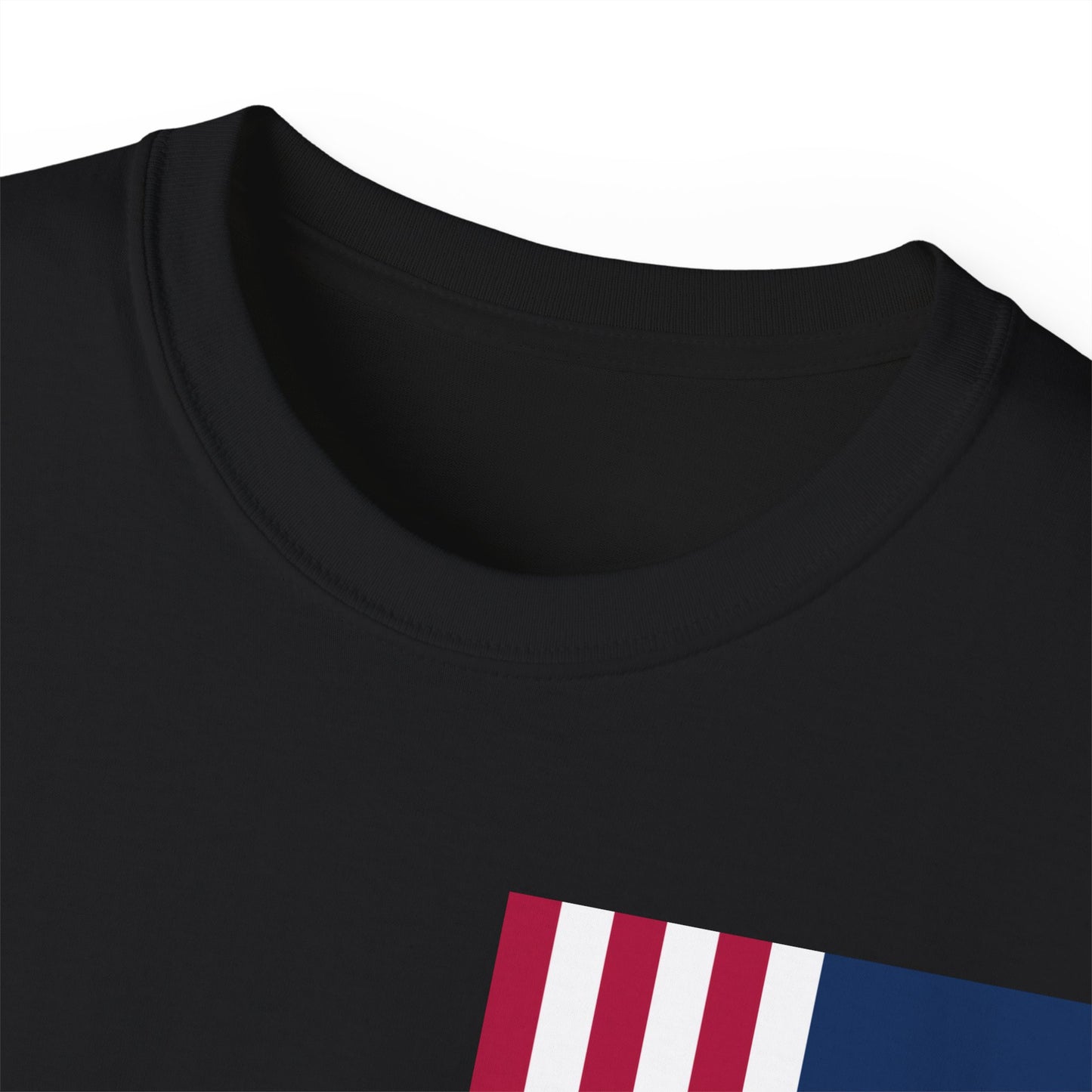 LongD cotton tee negative cropped flag single-breasted front-back Hyde Park upright logo (Patriotic colors)