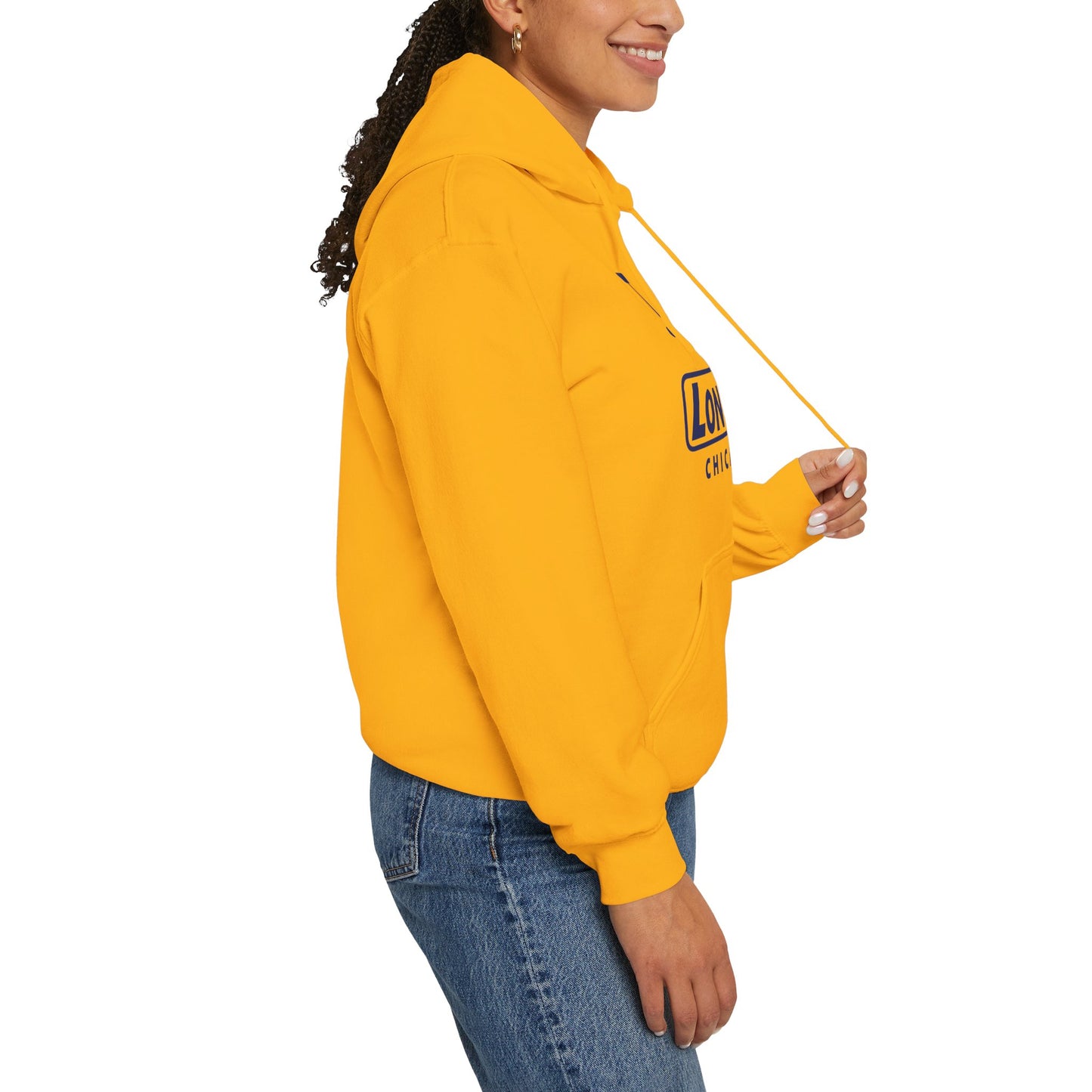 I Pumpkin LongD® Logo Hoodie blue basic Chicago logo