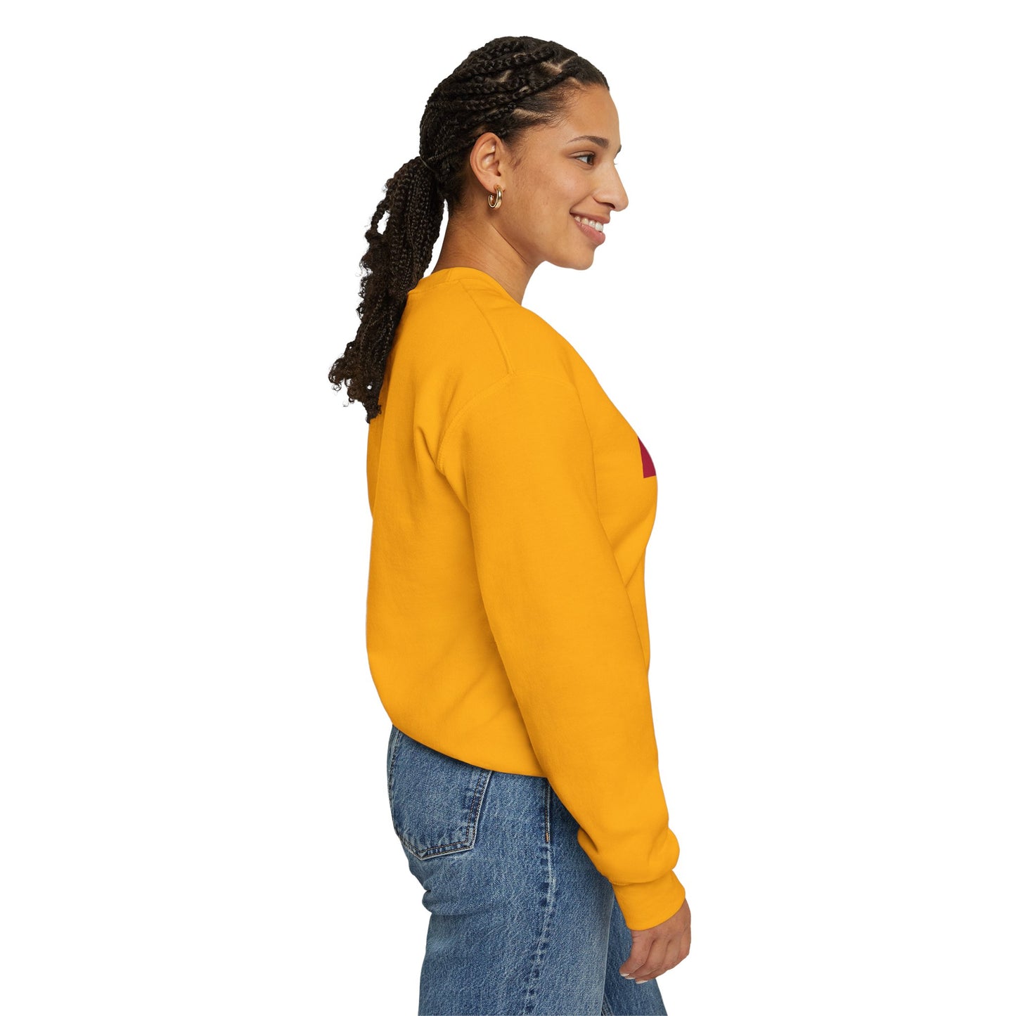 LongD negative vertical 6-striped Hyde Park logo crewneck sweatshirt (patriotic colors)