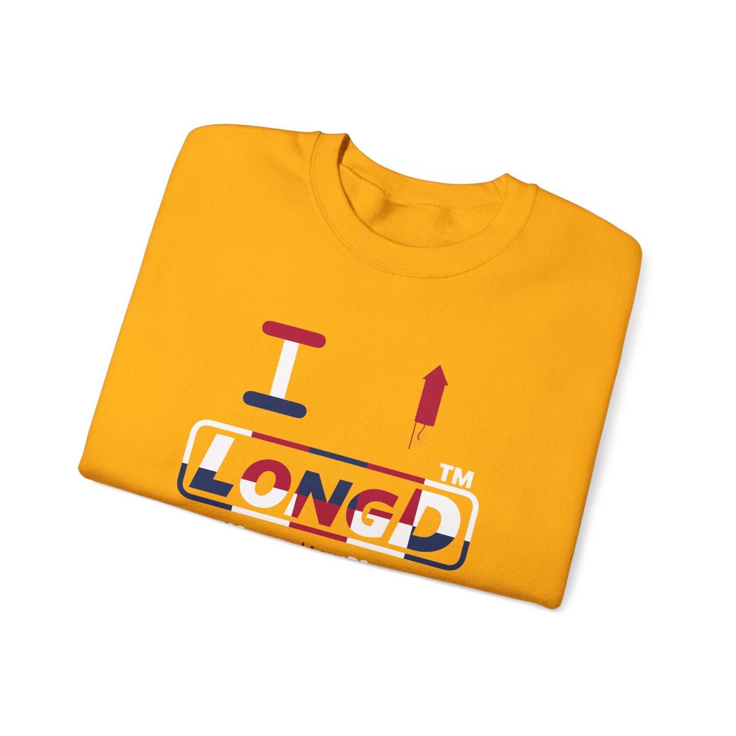 I firecracker LongD positive 2x5 tag-domain logo crewneck sweatshirt