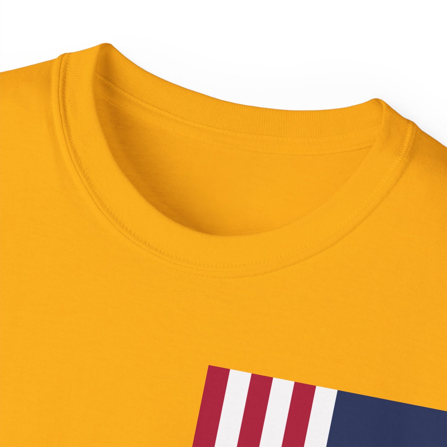 LongD cotton tee negative cropped flag single-breasted front-back Hyde Park upright logo (Patriotic colors)